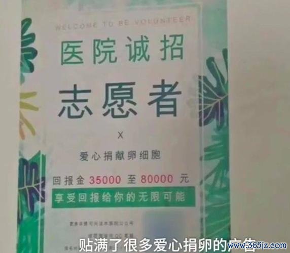 南京专业捐卵机构提供优质服务